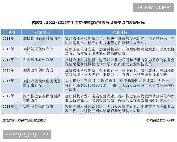 武汉足球队团队协作的成功经验与挑战分析