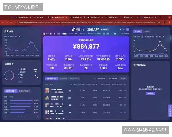 深入分析杭州羽毛球队的运营策略与发展模式